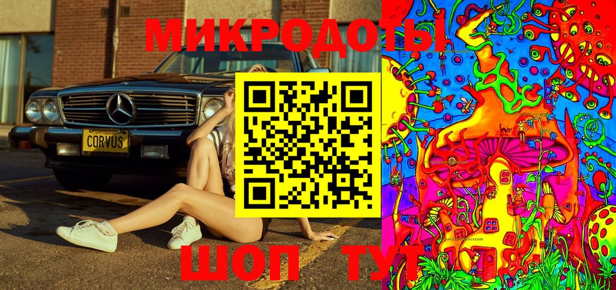 Псилоцибиновые грибы Psilocybe Ишим