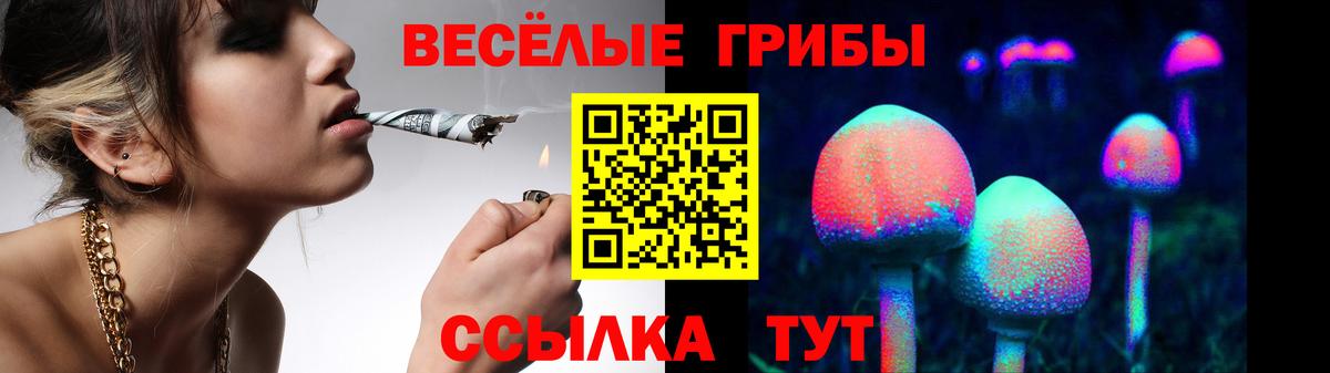 Ишим  Псилоцибиновые грибы Psilocybe  Вход с VPN 